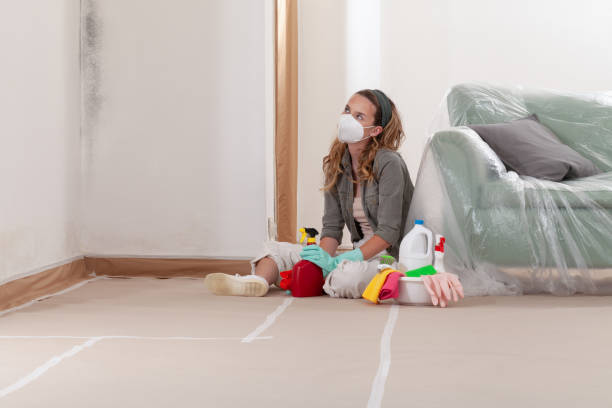 Reliable Mold Remediation contractor in Chadds Ford, PA by WQB Mold Removal